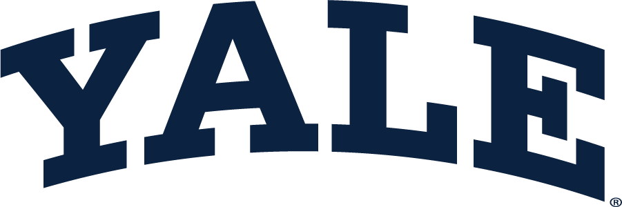 Yale Bulldogs 1935-Pres Wordmark Logo v2 t shirts iron on transfers